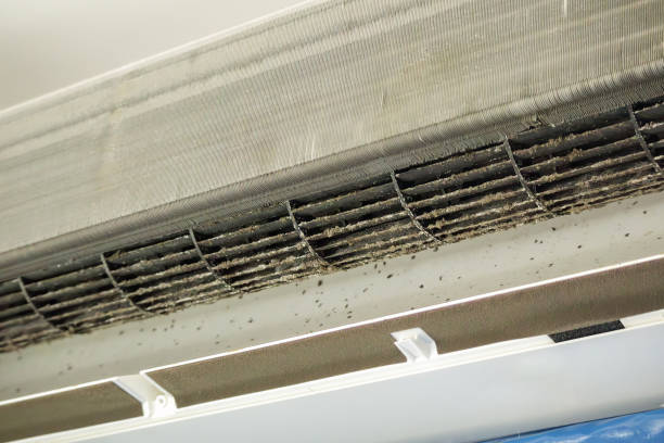 Best Air Duct Cleaning Near Me  in Fruit Hill, OH